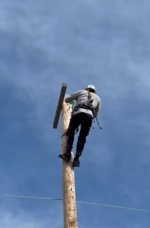 Worker climbing a utility pole against a blue sky by IBEW 1837